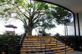 Iguatemi Rio Preto