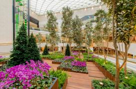 Iguatemi São Paulo